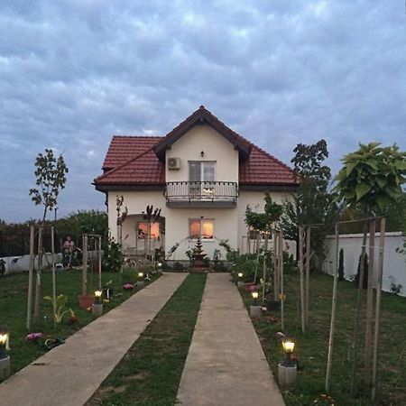 ホテル Blue Sky House バロテシュティ エクステリア 写真